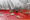 tiny_thumb__MG_6565_RuiCunha_
