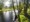 tiny_thumb_GOPR0221__Medium_