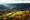 tiny_thumb_T08_04___26___Medium_