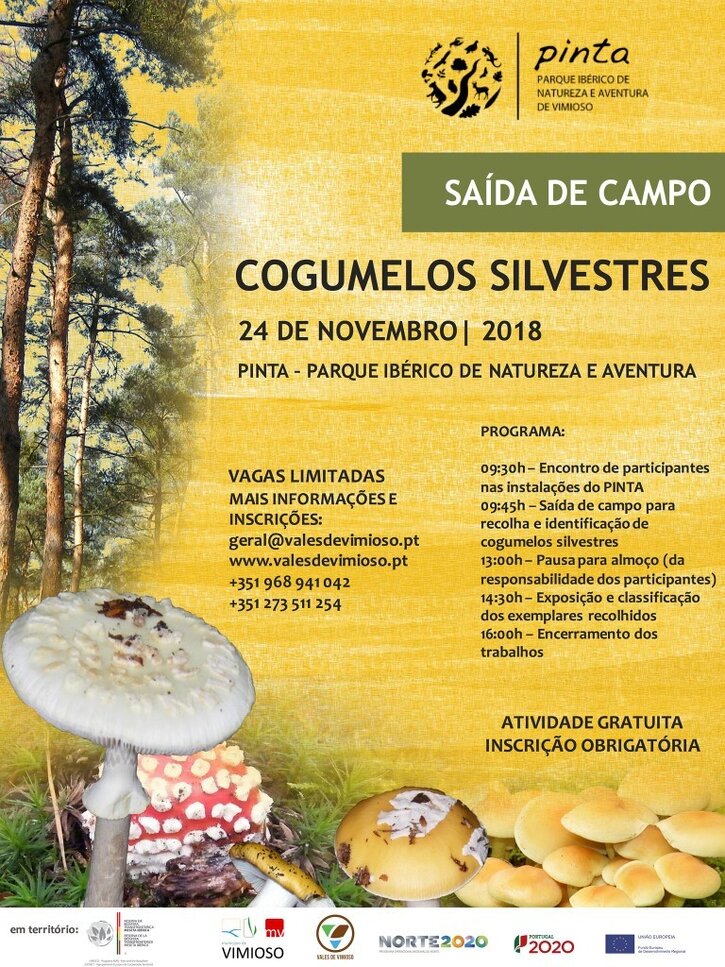 Saída de Campo - Cogumelos Silvestres