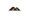Tiny thumb empty logo 1 1024 2500