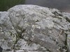 Thumb 1.4.6.33b  medium  1 100 100
