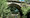 Tiny thumb ponte de ari es castro de  copy  medium  1 1024 2500