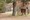 Tiny thumb t07 08   12   medium  1 1024 2500
