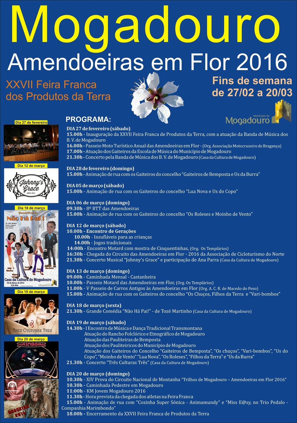 Programa amendoeiras em flor 1 1024 2500