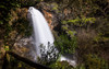 Thumb cascata negreda1  medium  1 100 100