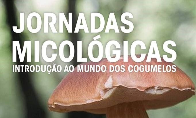 Jornadasmicologicas 1 1024 2500