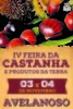 Thumb iv feira castanha avelanoso 1 100 100