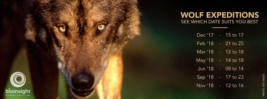 Datas wolf expedition 1 1024 2500