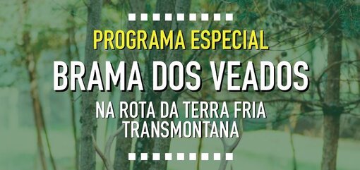 Brama2019 1 510 999