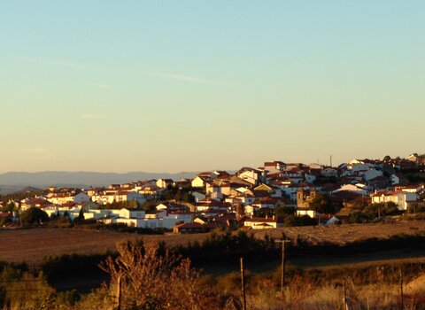 RTFT_24_SET_argoselo_029__2_