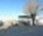 tiny_thumb_T03_12___29___Medium_