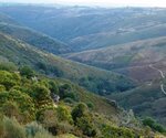 RTFT_17_SETMBR_04_126_site