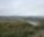 tiny_thumb_T07_08___24___Medium_