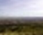 tiny_thumb_RTFT_25_SET_094__Medium_