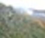 tiny_thumb_T01_01___11___Medium_
