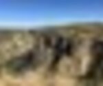 tiny_thumb_IMG_2216__Medium_