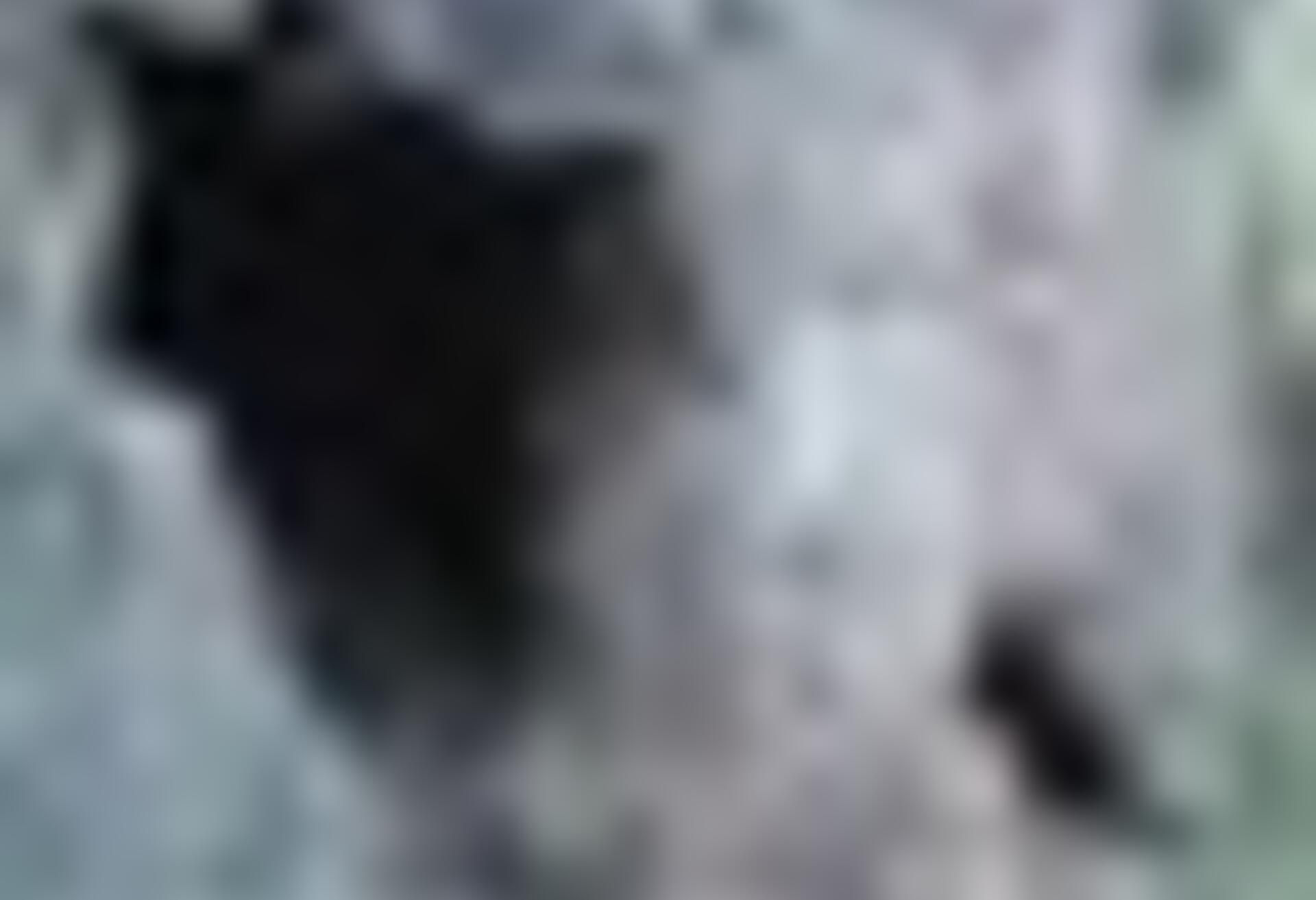 tiny_thumb_T03_VilaChaBraciosa_03
