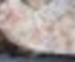 tiny_thumb_T05_PenasRoias_06