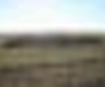 tiny_thumb_T04_Sanhoane_01