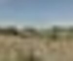 tiny_thumb_cabe_odascor_as