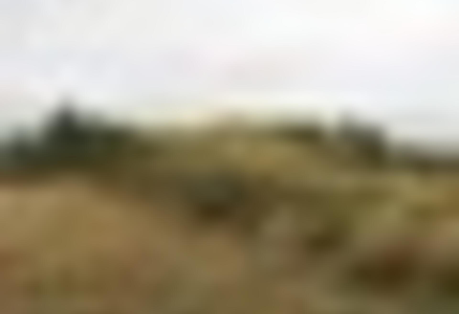 tiny_thumb_T11_SaoJuliaoPalacios_03