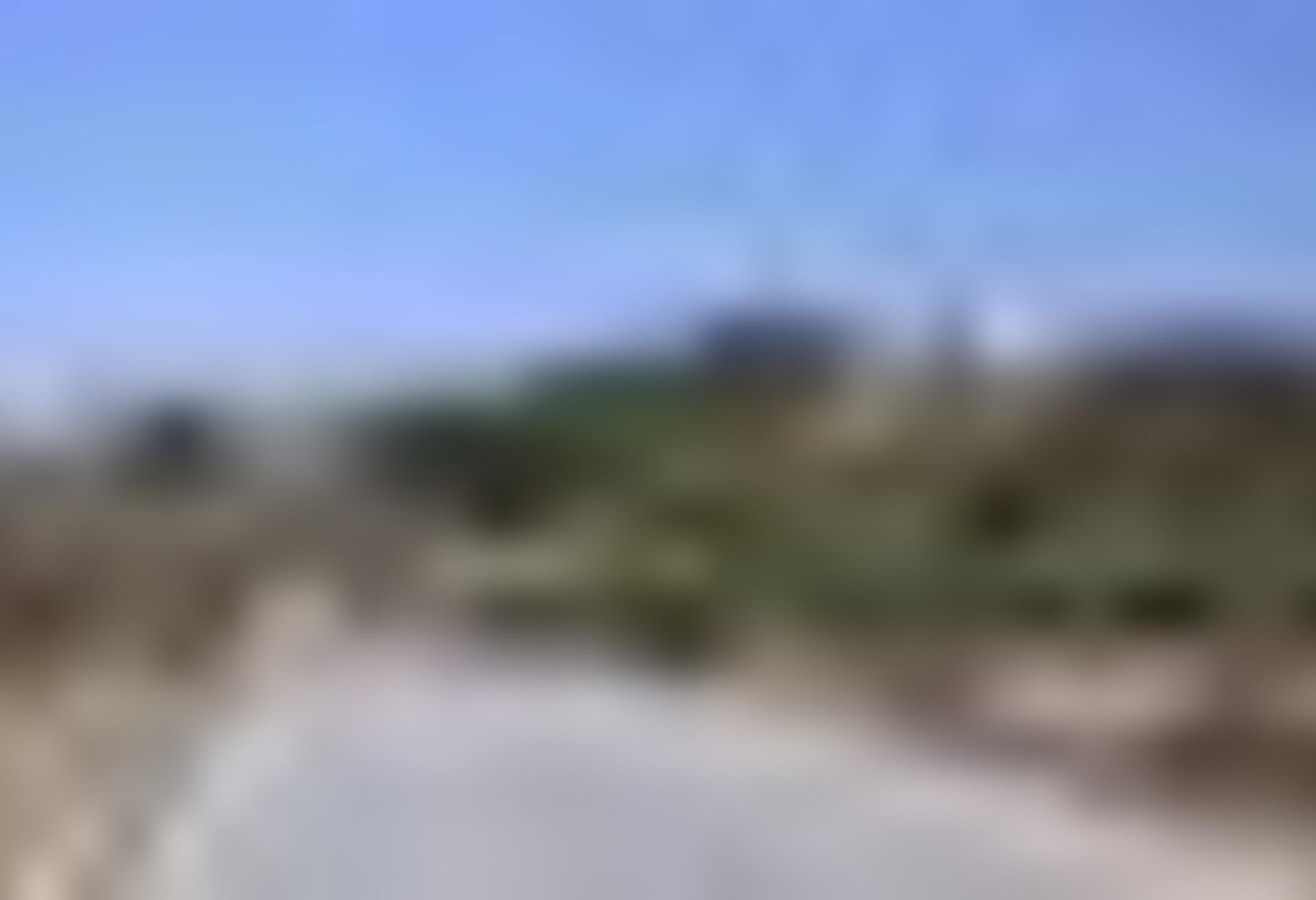 tiny_thumb_T03_Constantim_01