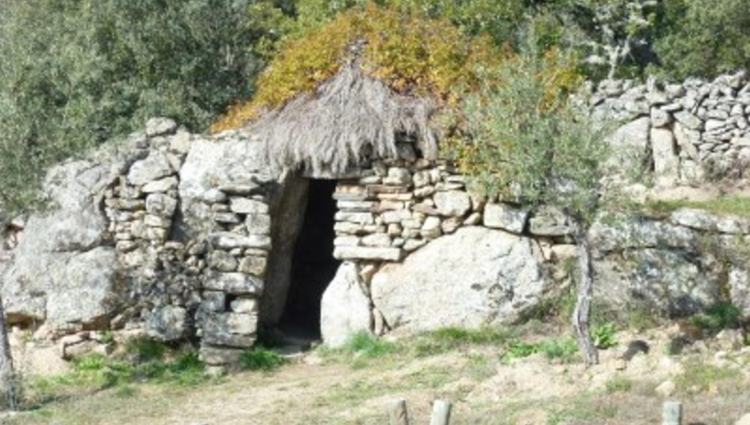 Castro de Aldeia Nova / São João das Arribas