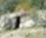 tiny_thumb_T03_AldeiaNova_02