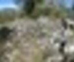 tiny_thumb_T03_MDouro_06