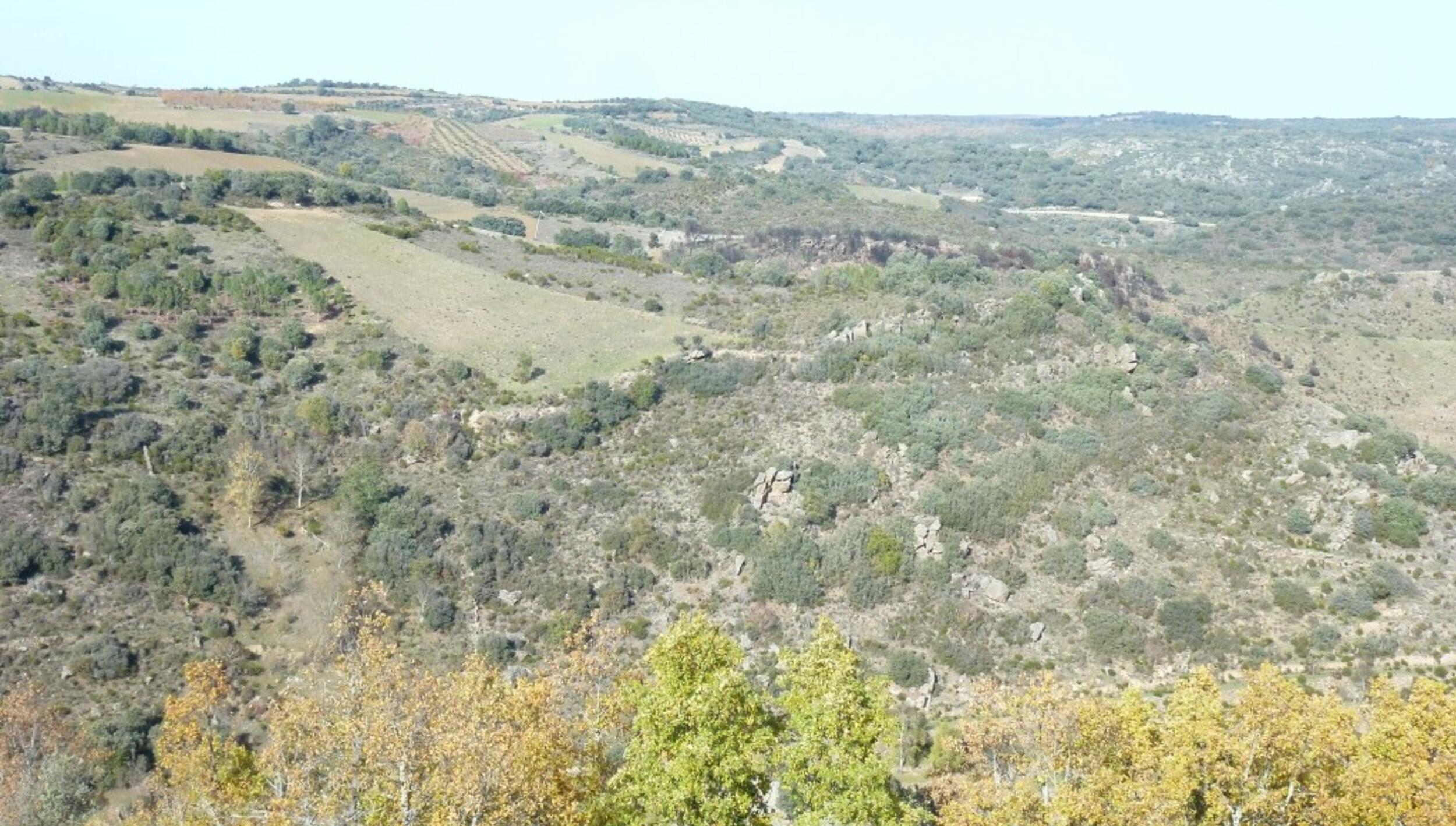 Penha da Torre