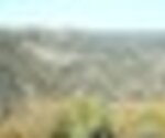 tiny_thumb_T03_03___35___Medium_