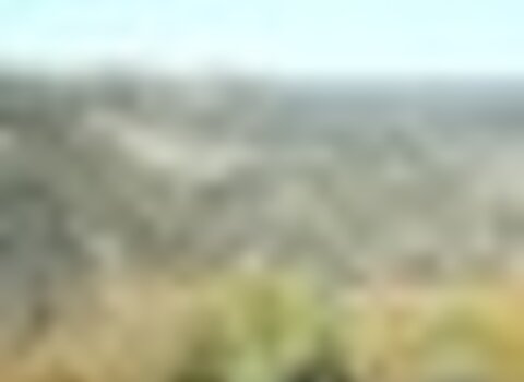 tiny_thumb_T03_03___35___Medium_