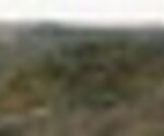 tiny_thumb_T04_Urros_05