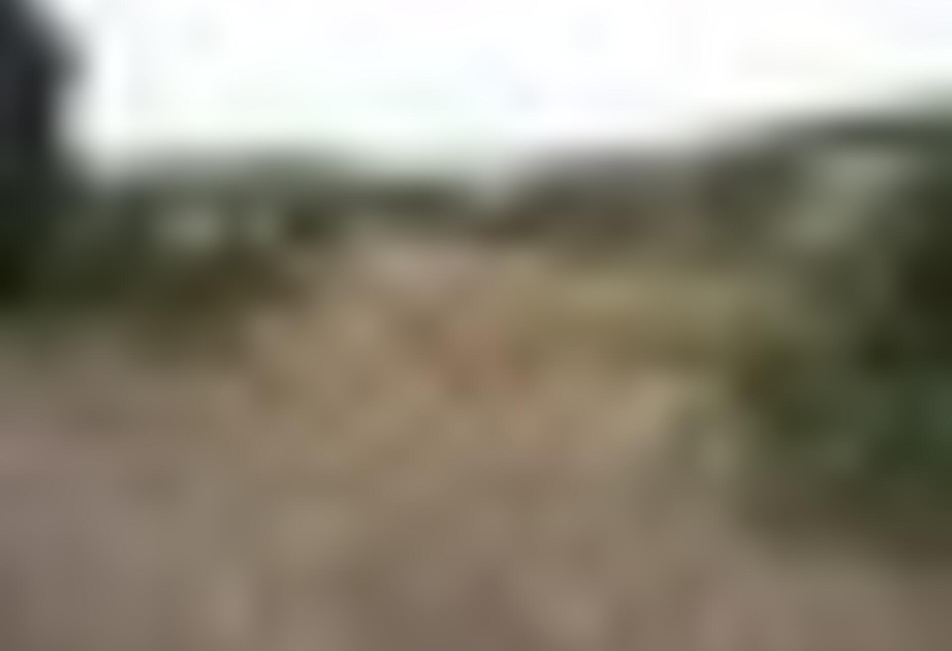 tiny_thumb_1