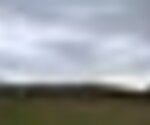 tiny_thumb_T10_Sacoias_02