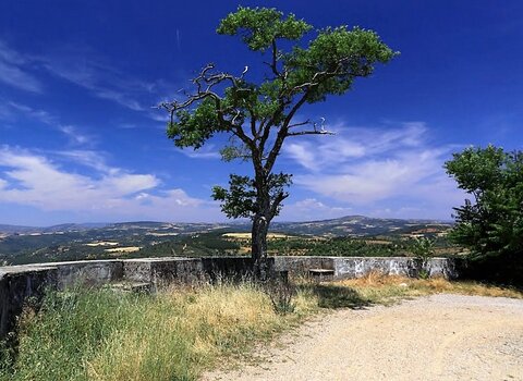 miradouro_monteforca1