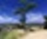 tiny_thumb_miradouro_monteforca1