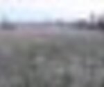 tiny_thumb_T07_Paredes_02