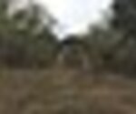 tiny_thumb_Senhora_da_Hera__Medium_