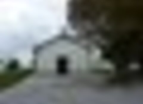 tiny_thumb_T06_Serapicos_01