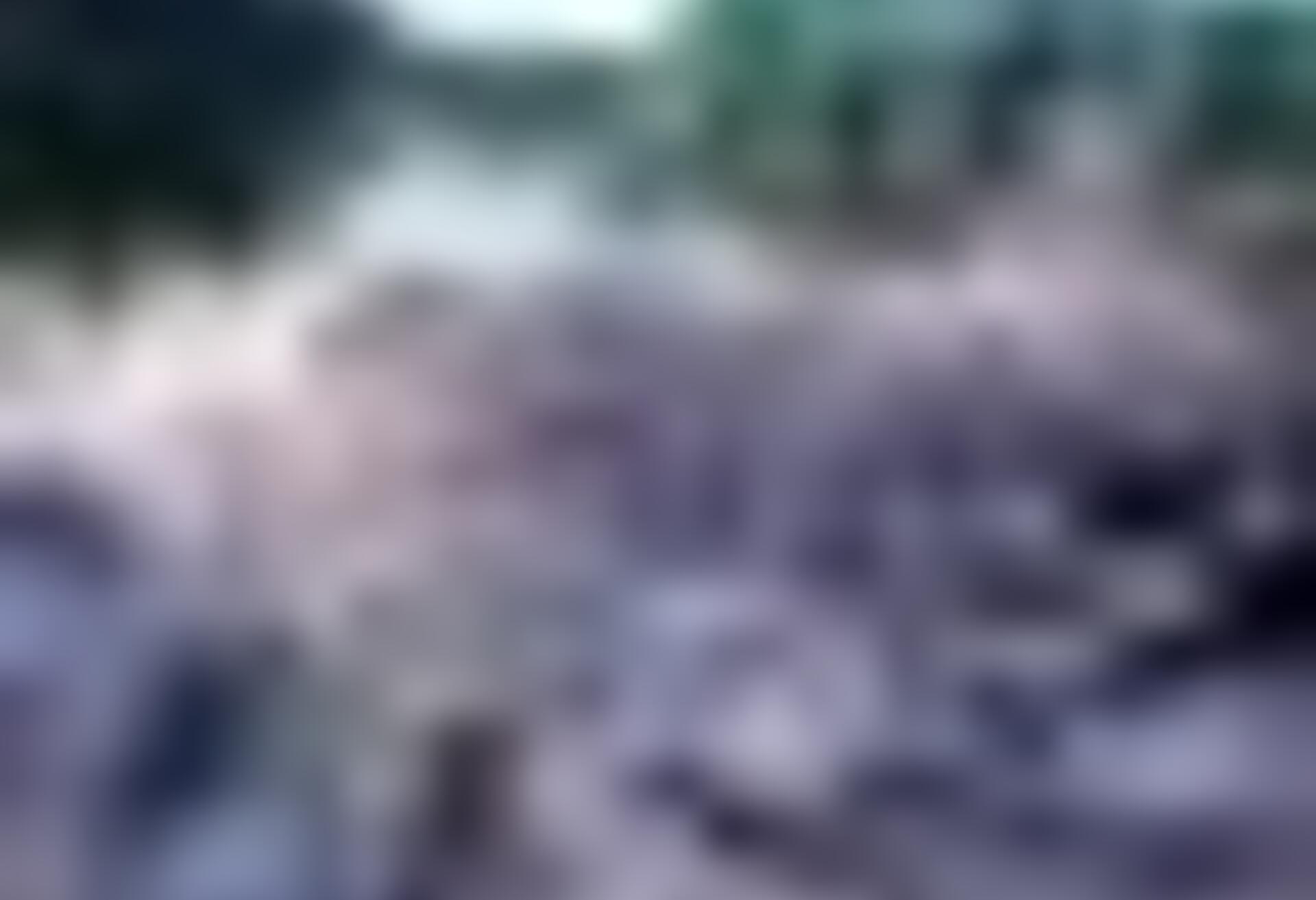 tiny_thumb_1