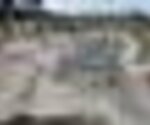 tiny_thumb_11229838_898388343588715_2285166957022347482_o