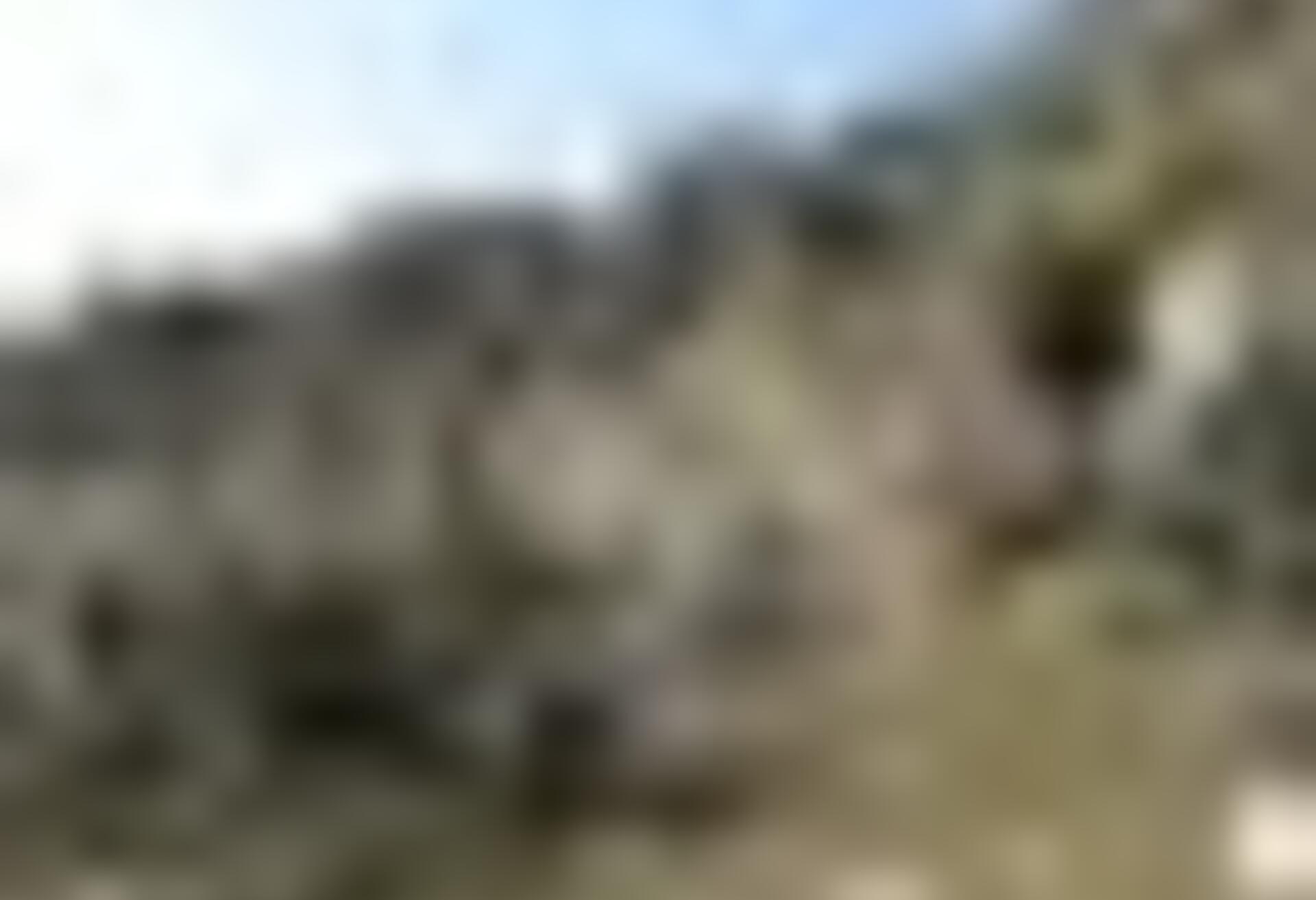tiny_thumb_T04_Bemposta_04