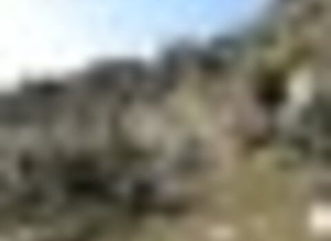 tiny_thumb_T04_Bemposta_04