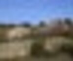 tiny_thumb_T04_Urros_02