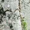 thumb_DSC_1020__Medium_1