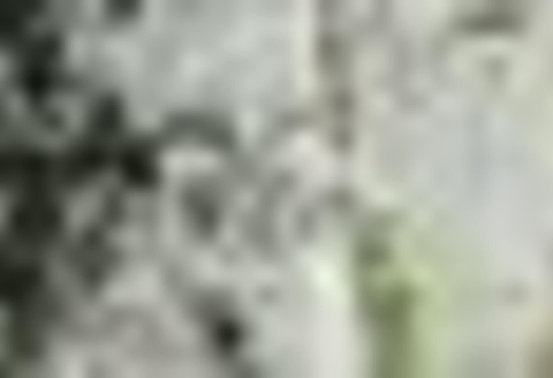 tiny_thumb_DSC_1020__Medium_1