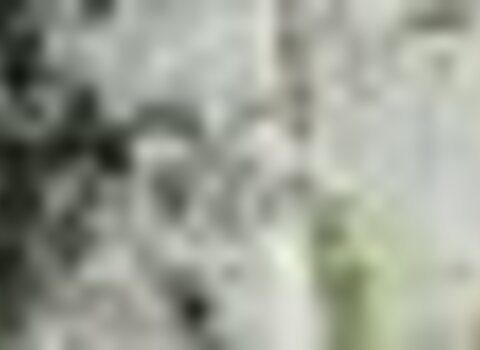 tiny_thumb_DSC_1020__Medium_1
