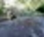 tiny_thumb_Fraga_da_ponte_das_vinhas